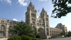 Image: Natural History Museum